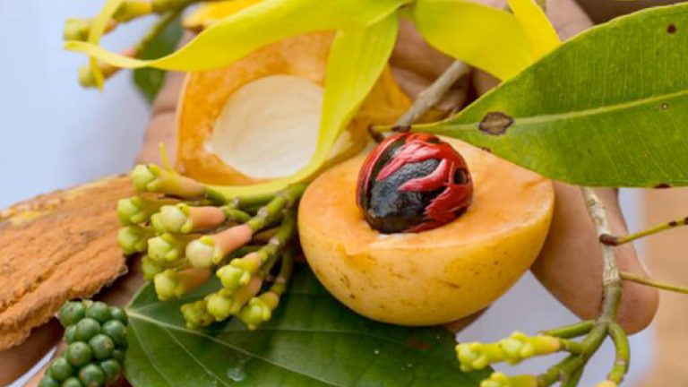 NPLJ-Przn-I-Artboard 20 copy 5